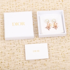 Christian Dior Earrings